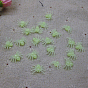 Glow in The Dark Plastic Spiders, Luminous Bugs, Halloween Scary Decoration, Mischief Prop