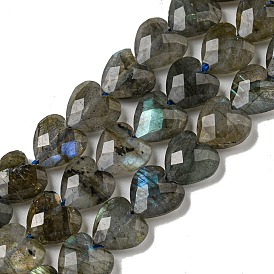 Natural Labradorite Beads Strands, Faceted, Heart