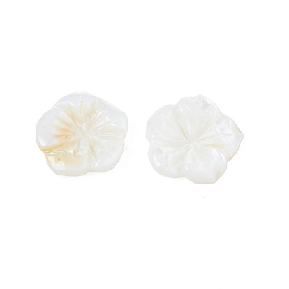 Natural Freshwater Shell Cabochons, Flower