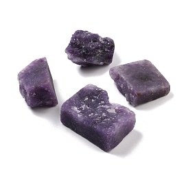 Rough Natural Lepidolite/Purple Mica Stone Beads, for Tumbling, Decoration, Polishing, Wire Wrapping, Wicca & Reiki Crystal Healing, No Hole/Undrilled, Nuggets