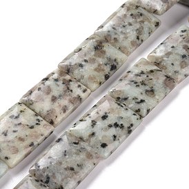 Jaspe de sésame naturel / perles de jaspe kiwi, rectangle