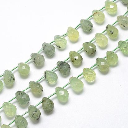 Natural Prehnite Beads Strands, Top Drilled Beads, Faceted Teardrop