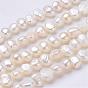 Natural Cultured Freshwater Pearl Beads Strands, Nuggets