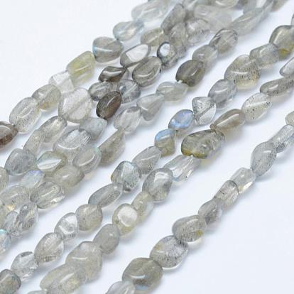 Natural Labradorite Beads Strands, Tumbled Stone, Nuggets