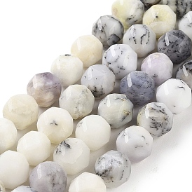 Natural White African Opal Beads Strands, Star Cut Round Beads