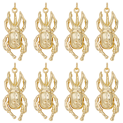 10 латунные подвески шт., с прыжковых колец, жук прелести