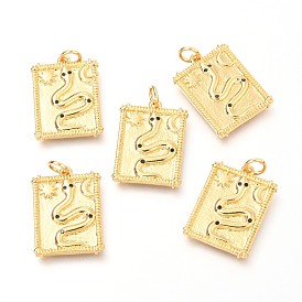 Brass Micro Pave Clear Cubic Zirconia Charms, Rectangle with Snake