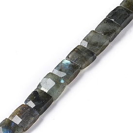 Natural Labradorite Beads Strands, Faceted, Square