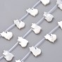 Natural White Shell Mother of Pearl Shell Beads, Top Drilled Beads, Cat Shape