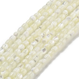 Natural Trochid Shell/Trochus Shell Beads Strands, Column