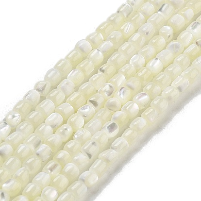 Натуральная оболочка из трохидных оболочек, колонка