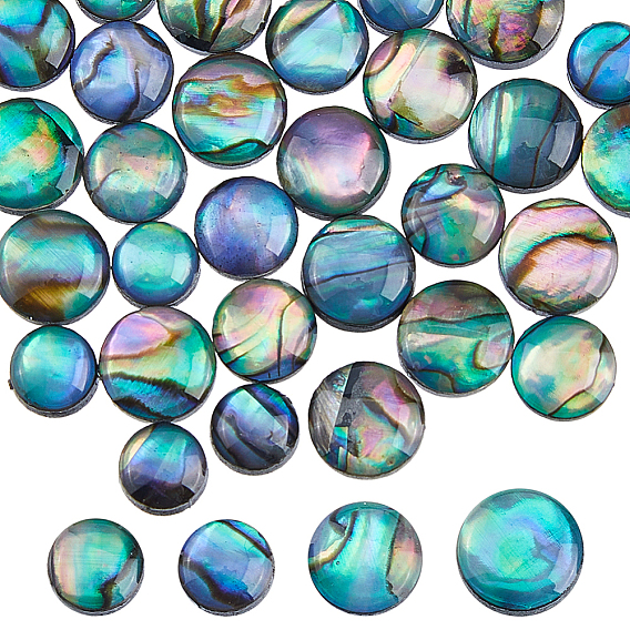 40 pièces 4 styles cabochons en nacre d'ormeau/paua naturelle émaillée, demi-tour / dôme