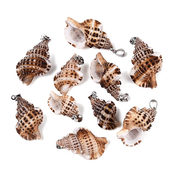 Brass & Natural Spiral Shell Pendants, Conch Charms