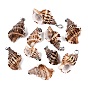 Brass & Natural Spiral Shell Pendants, Conch Charms