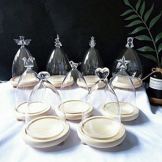 Glass Dome Cover, Decorative Display Case, Cloche Bell Jar Terrarium with Wood Base