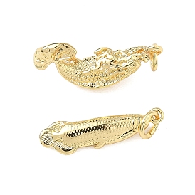 Латунные подвески, форма рыбы, без свинца и без кадмия, долговечный, стойки покрытие, с целью перехода в кольце