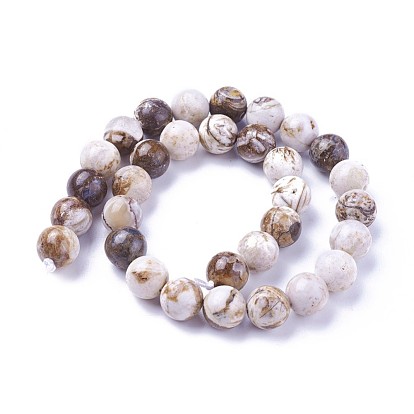 Природные окаменелое дерево бисер пряди, круглые