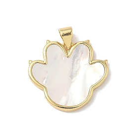 Подвески из латуни из натуральных ракушек, подвески в виде отпечатков лап с соединительными кольцами, без свинца и без кадмия, долговечный, стойки покрытие, цвет морской раковины