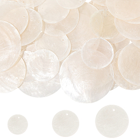 60шт 3 стили натуральные подвески из ракушек капиз, Дисковые подвески