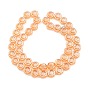 Pearl Luster Plated Electroplate Glass Transparent Beads Strands, Flower
