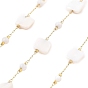 Ion Plating(IP) 304 Stainless Steel Paperclip Chains, Soldered, with Shell Beads, Square