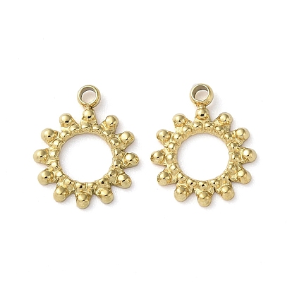 304 прелести нержавеющей стали, очарование солнца