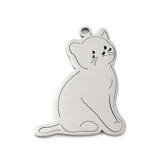 Антикоррозийные 201 подвески из нержавеющей стали, кошачье очарование