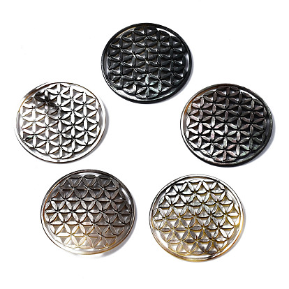Natural Shell Filigree Joiners Links, Hollow, Flat Round