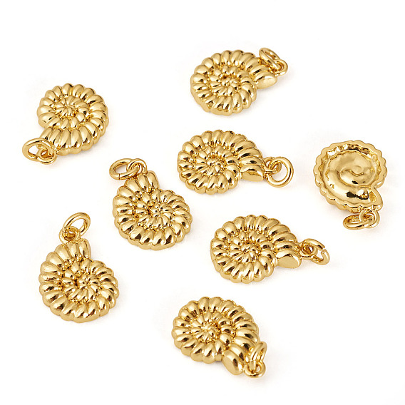 8подвески из латуни с гальваническим покрытием, без кадмия и без свинца, долговечный, раковины прелести, с целью перехода в кольце