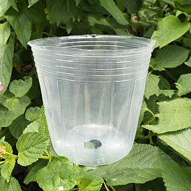 Plastic Disposable Seedling Cup, Plant Nursery Pot