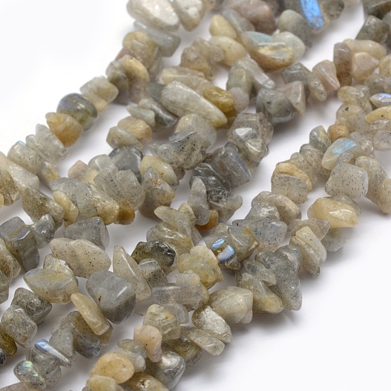 Natural Labradorite Beads Strands, Chip