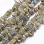 Natural Labradorite Beads Strands, Chip