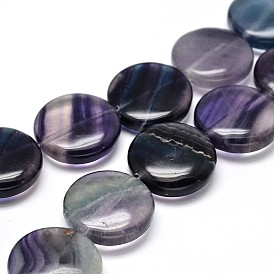 Flat Round Natural Fluorite Bead Strands, 20x7.5mm, Hole: 1mm, about 20pcs/strand, 15.5 inch