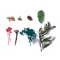 Dried Flowers, DIY Candle Soap Making Accessories, with Plastic Rectangle Box, Teal