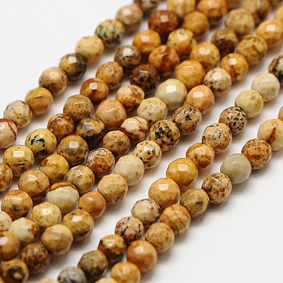 Natural Picture Jasper Beads Strands, Faceted Round