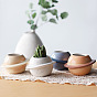Planet succulent flowerpot ceramic cute artistic decorative potted gardening