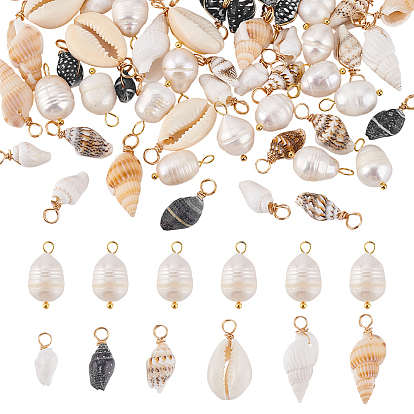 60шт. подвески из натуральных смешанных ракушек, подвески в форме ракушек, с 20шт. подвесками в виде рисовых зерен из натурального культивированного пресноводного жемчуга, с петлями из латуни светло-золотистого цвета
