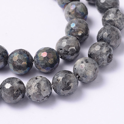 Electroplate Natural Labradorite Round Bead Strands, Faceted