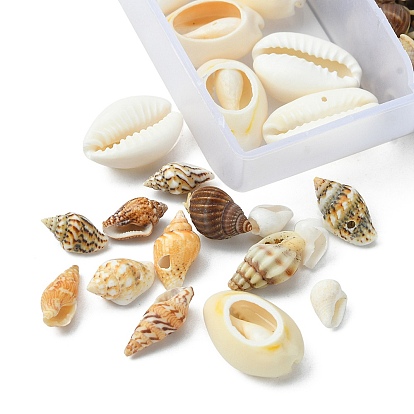 6 Styles Natural Mixed Cowrie Shell Beads Sets, Cowrie Shells