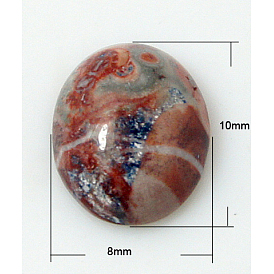 Натуральной кожи леопарда кабошонов, овальные, коричневые, 10x8x4 мм