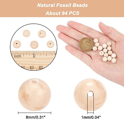 ARRICRAFT Natural Fossil Beads Strands, Round, Hole: 1mm