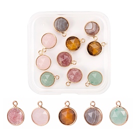 10Pcs 5 Style Natural Gemstone Charms, with Light Gold Plated Brass Edge and Loop, Half Round/Dome, Faceted
