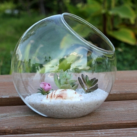 Round Glass Vase, Hydroponic Succulent Micro-Landscape Glass Bottle, for Home Decoration
