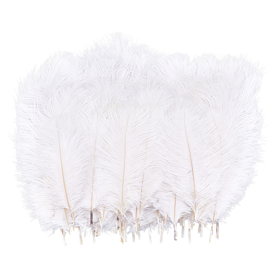 72Pcs 3 Styles Ostrich Feather Craft for Wedding Party Centerpieces Home Decoration, DIY Craft