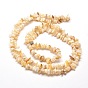 Natural Freshwater Shell Chip Bead Strands, Shell Shards, 5~8x5~8mm, Hole: 1mm, about 31.5 inch