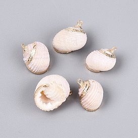 Подвески из натуральных ракушек с гальваническим покрытием, подвески в форме ракушек, с латунными петлями, золотые