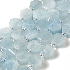 Natural Aquamarine Beads Strands, Hexagon, with Seed Beads