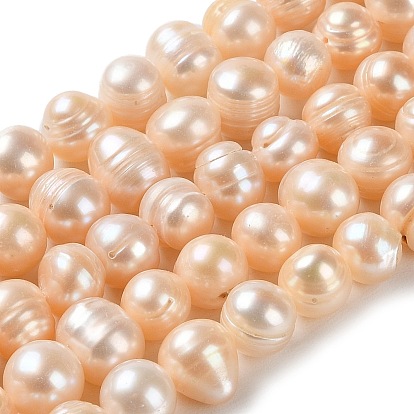 Natural Cultured Freshwater Pearl Beads Strands, Potato, Grade AB+