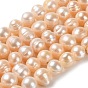Natural Cultured Freshwater Pearl Beads Strands, Potato, Grade AB+