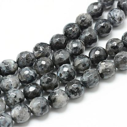 Natural Larvikite Bead Strands, Dyed, Faceted Round